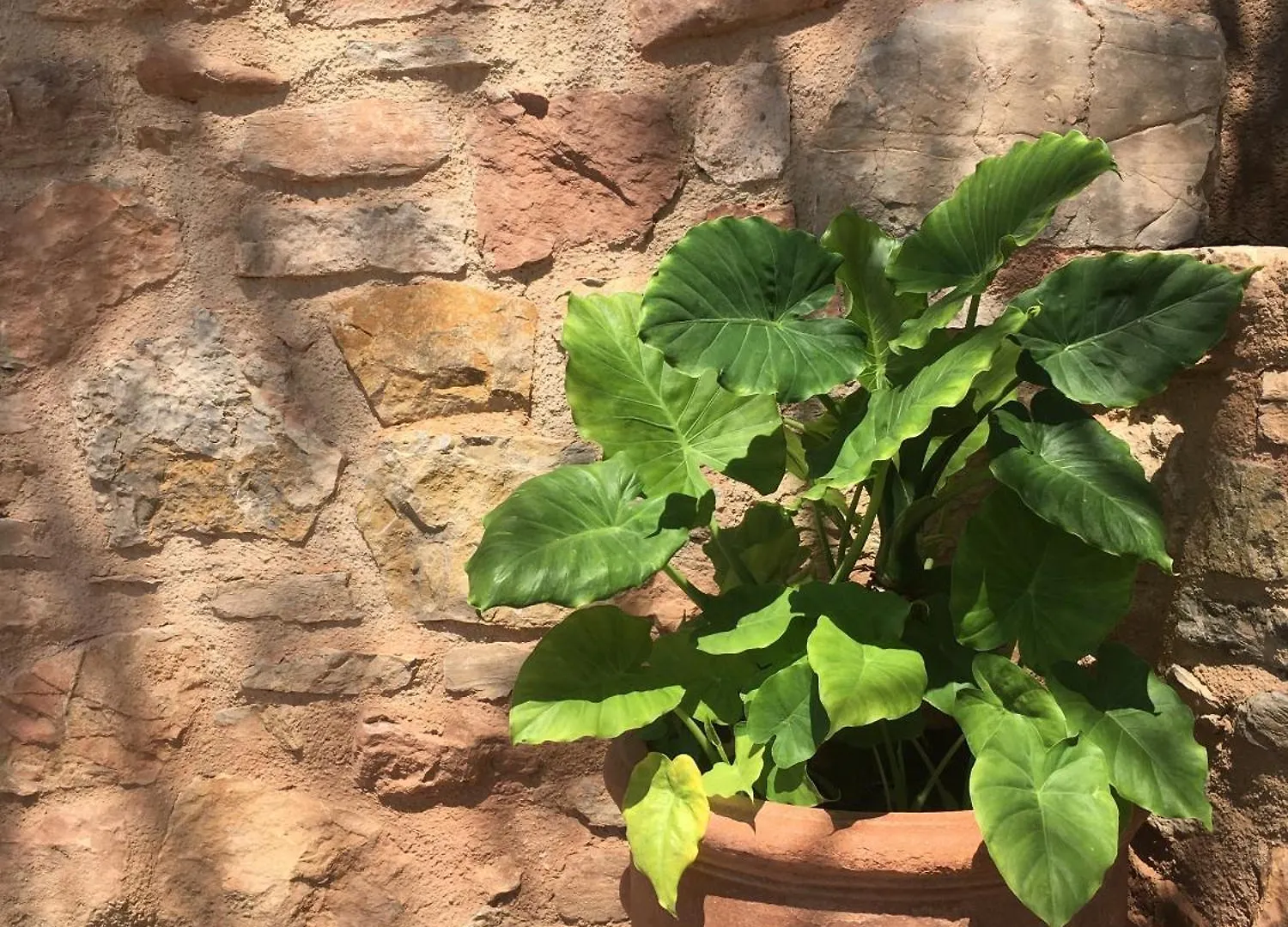 Torres De Selma - Eco Resort El Pla de Manlleu Bed and breakfast