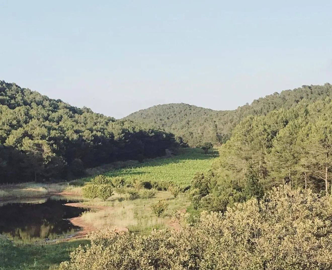 Torres De Selma - Eco Resort El Pla de Manlleu Bed and breakfast