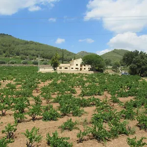 Cal Marti El Pla de Manlleu